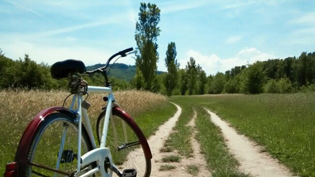 Francesco Renna - Biciclette al passeggio