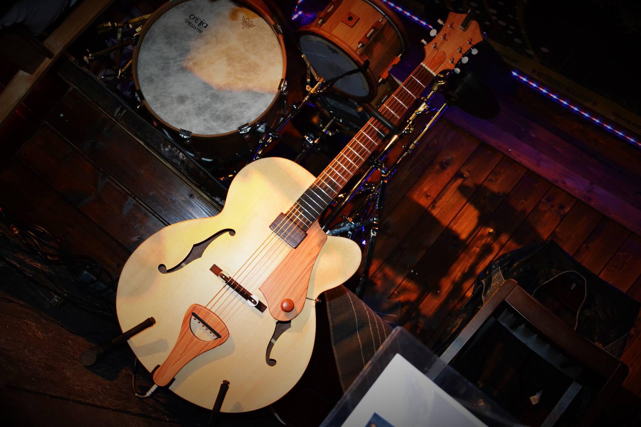 D'Elia Guitars & Drums