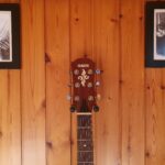 Fronte del manico Yamaha APX-3 con dettaglio della paletta